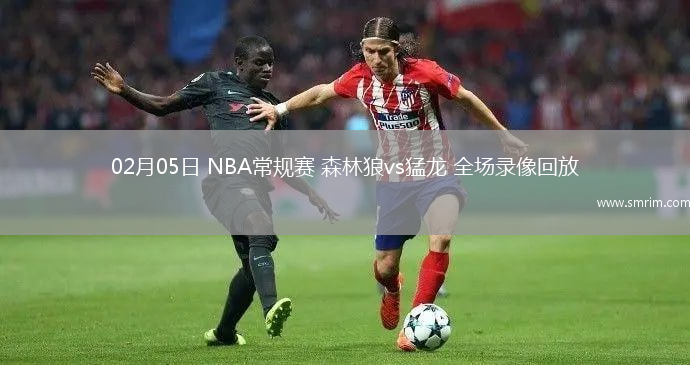 02月05日 NBA常規(guī)賽 森林狼vs猛龍 全場(chǎng)錄像回放